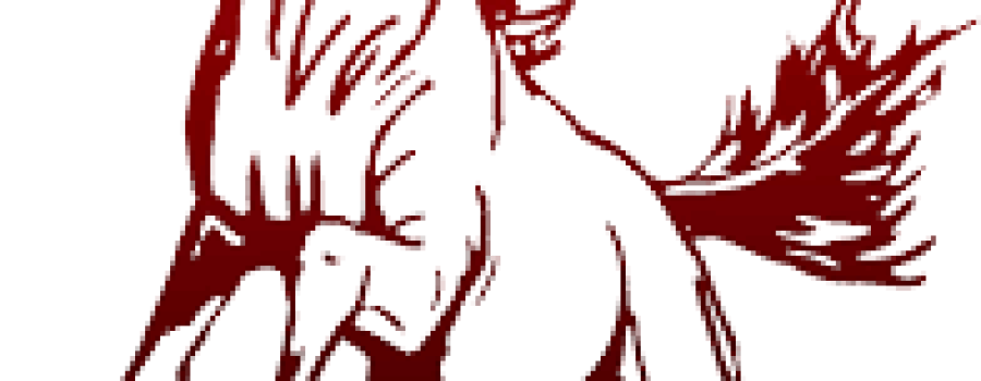 Shenandoah Schools Update: Postseason sports, spring activities, conferences, musical, and board game night