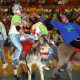 Donkey Basketball in Essex Monday March 23