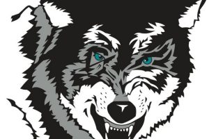 Southwest Valley Highlights Spring Sports, Kindergarten Roundup, and Community Events