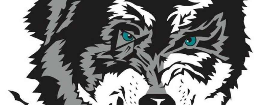 Southwest Valley Fourth Graders Highlight House Olympics, Read Across America Activities