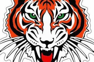 ROCSD Board approves open enrollment athletic eligibility waiver and Class of 2026 approved: 67 students + 4 virtual students