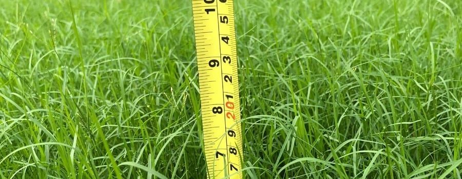 Red Oak – keep grass cut to 6 inches or less and to please refrain from clippings in the street