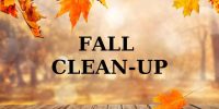 FALL CLEAN UP (2)