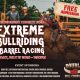 FREE Bull Ride at the Montgomery County Fair, Friday July 17