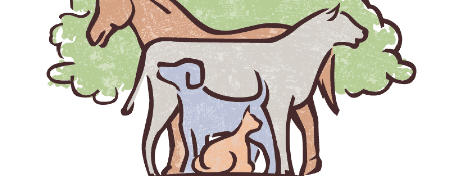 Fridolph urges owners to focus on summer pet prevention