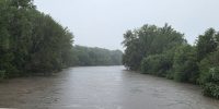 flood ro