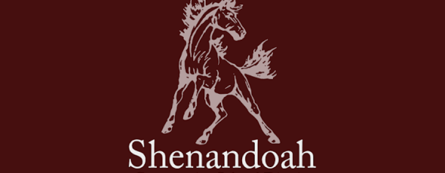 A Mustang State of Mind: Shenandoah Homecoming Week Guide