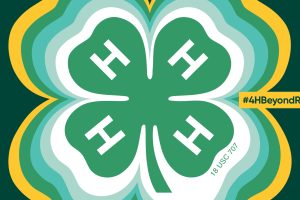 Montgomery County 4-H Find Out Night Set for Wednesday Oct. 7 at the White Fair Building
