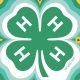 Montgomery County 4-H Find Out Night Set for Wednesday Oct. 7 at the White Fair Building