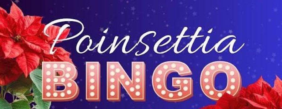Poinsettia Bingo & Winter Wonderland at the “Y” in Red Oak Saturday 12-12-26